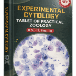 Experimental Cytology