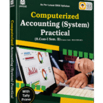 Computerized Accounting (System) Practical