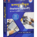 Computerized Accounting Book